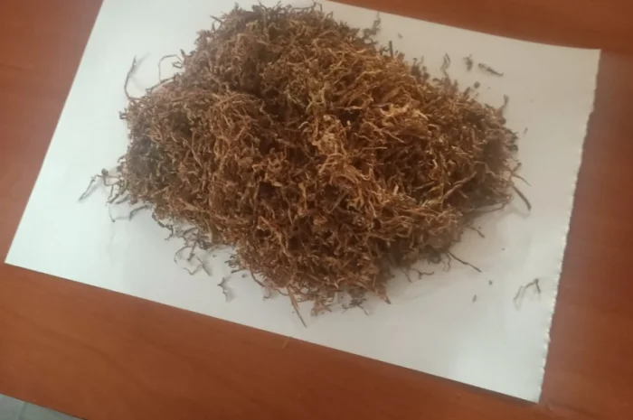 Продам різаний тютюн сорт Вірджінія для самокруток- фото № 1