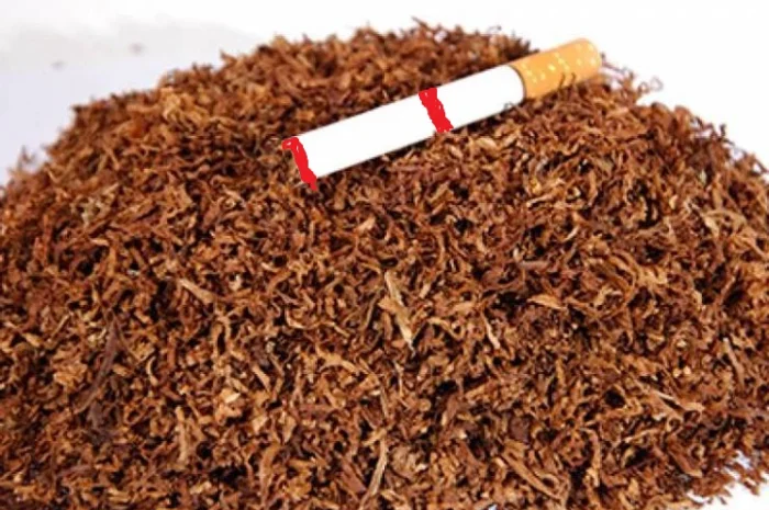 Тютюн для гільз і самокруток – домашній, свіжий, без центральної жилки- фото № 4