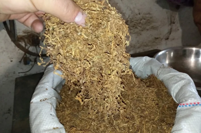 Тюттюн наш берлі- фото № 3