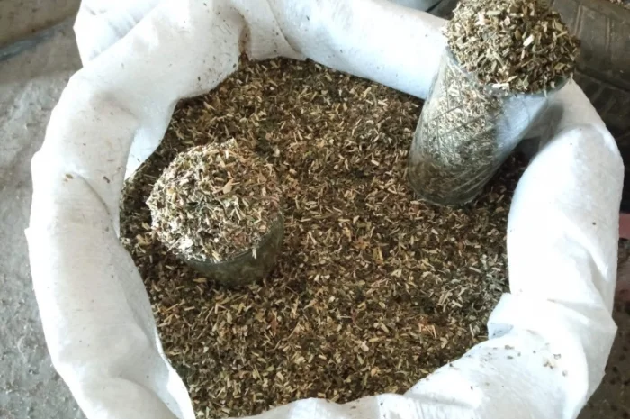 Домашній тютюн на вагу – Берлі, Вірджинія, Дюбек, махорка та самосад- фото № 1