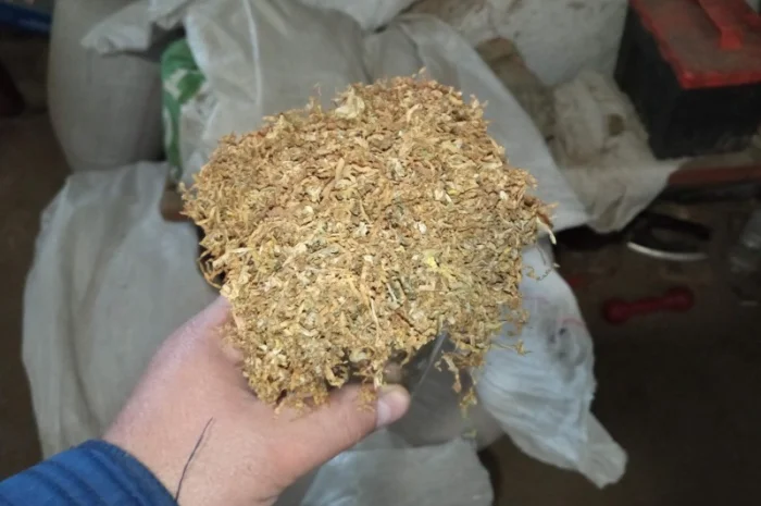 Домашній тютюн на вагу — Берлі, Вірджінія, Дюбек та махорка- фото № 2