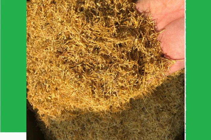 Тютюн на вагу — Вірджінія, Берлі, Мілєніум, ферментований, лапша 0.7 мм- фото № 1