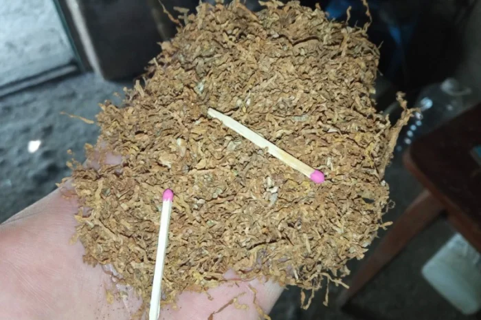 Хароший домашній ооо не пріла сухенька є дюбек і вірджінія- фото № 1