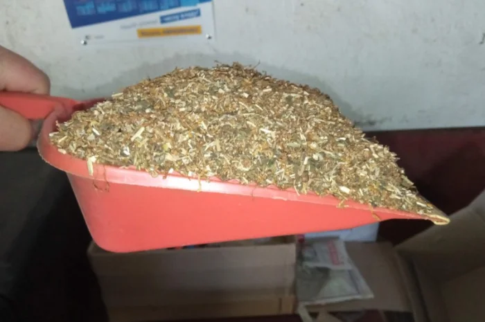 Хароший домашній ооо не пріла сухенька є дюбек і вірджінія- фото № 2