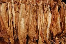 Вирджиния и дюбек – качественный табак для самосада- фото № 1