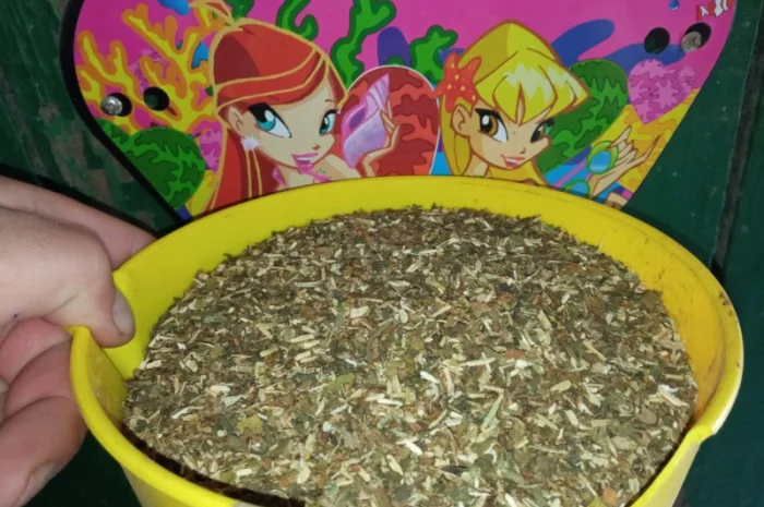 Вирджиния и дюбек – качественный табак для самосада- фото № 2