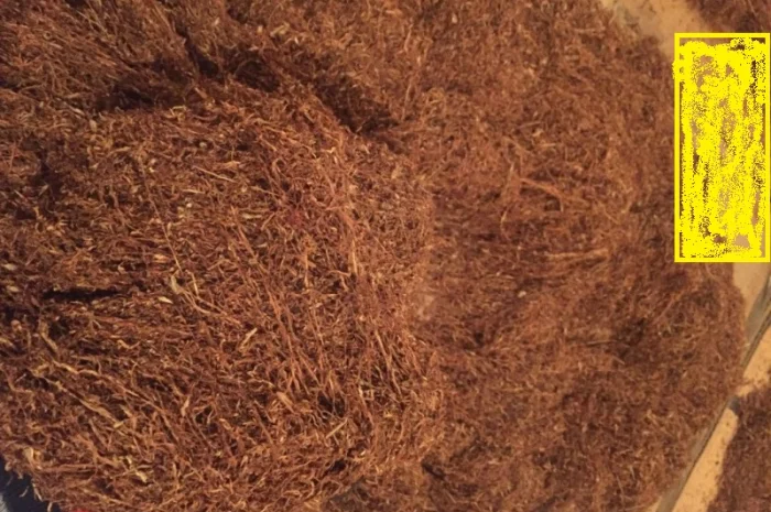 Продам тютюн на вагу — домашній сорт Вірджинія, різка лапша 0.6–0.7 мм- фото № 1