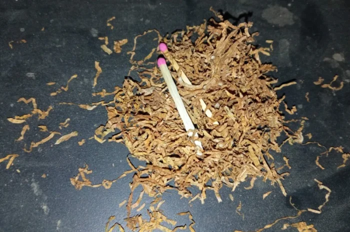 Табак домашній  для сигарет 1 кг ,самосад дюбек, махорка берлі всі свіженькі- фото № 1