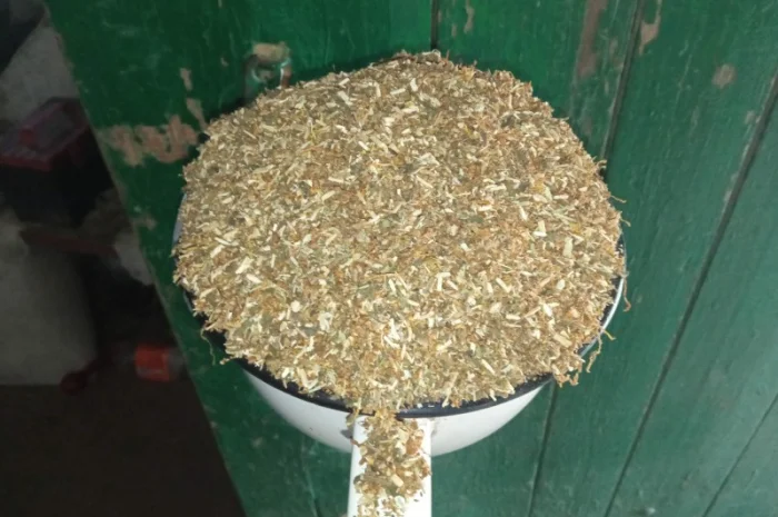 Табак домашній  для сигарет 1 кг ,самосад дюбек, махорка берлі всі свіженькі- фото № 2