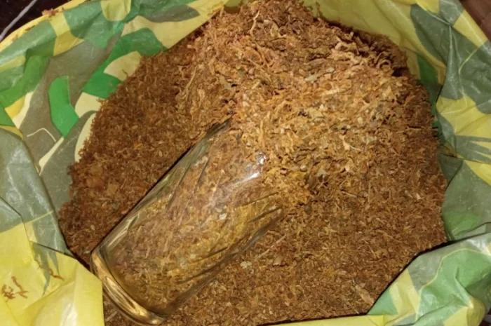 Махорка для самокруток самосад Берлі, Вірджінія- фото № 1