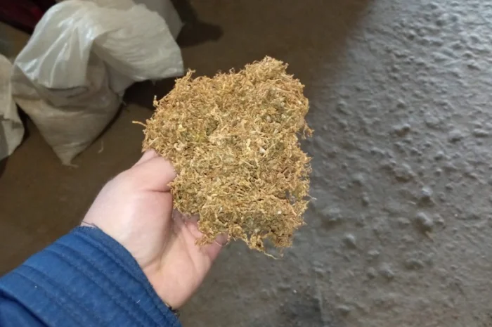 Тютюн   для сигарет 1 кг ,самосад Берлі, Вірджінія. дюбек табак- фото № 1