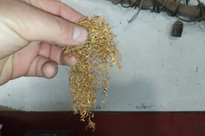 Тютюн   для сигарет 1 кг ,самосад Берлі, Вірджінія. дюбек табак- фото № 4