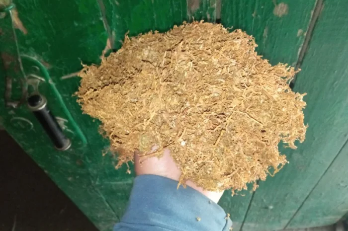 Тютюн домашній МАХОРКА не пріла сухенька  для сигарет 1  кілограм- фото № 3