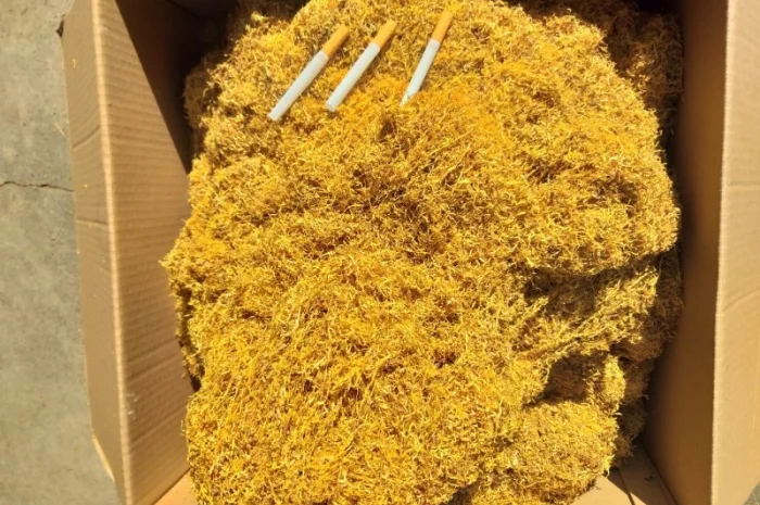 Тютюни сільські   для самокруток Вірджінія, Берлі, Міленіум самий вищий сорт і класс Дюбек ! свіжі- фото № 4