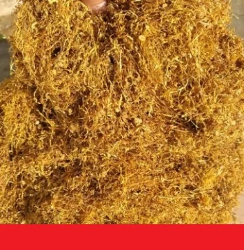 Табаки з власного города Берлі, Дюбек Мілєніум не смирдять (ферментіровані)  для сигарет 1 кг- фото № 1