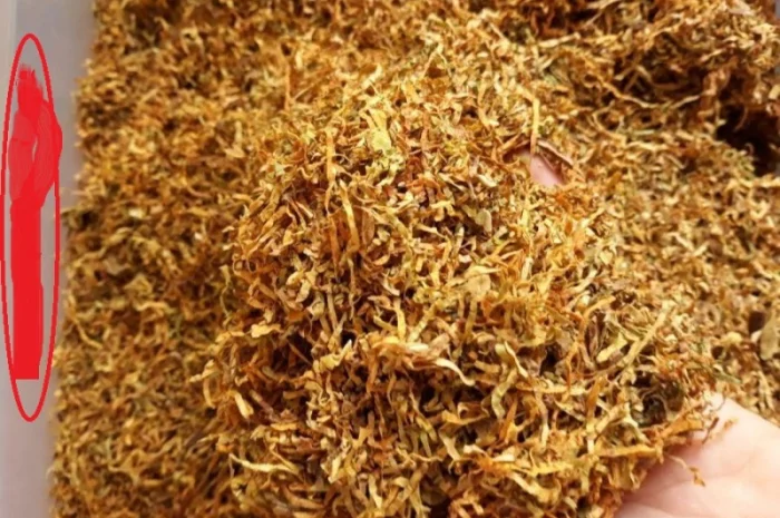 Махорка  для трубки і табаки з власного города Берлі, Дюбек- фото № 1