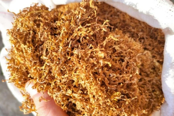 Є хароший домашній тютюнець і махорка отлічна для сигарет 1 кг- фото № 1