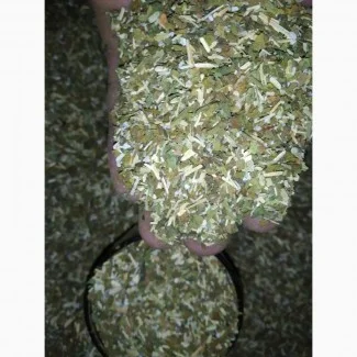 Куплю табак на развес махорку самосад, бадилля, опт від 20 кг- фото № 1