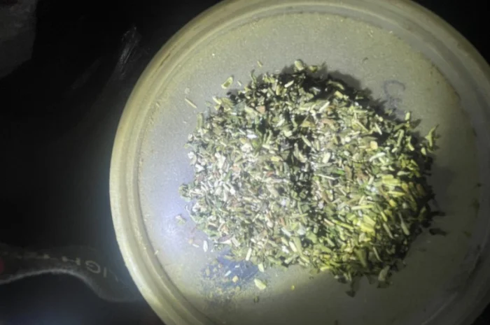 Продам самосад/махорку без пилу та мусору для самокруток- фото № 3