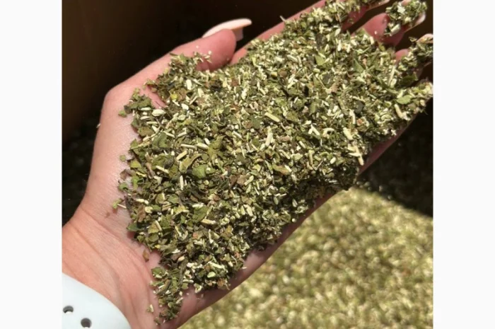 Продам самосад/махорку без пилу та мусору ОПТ- фото № 2