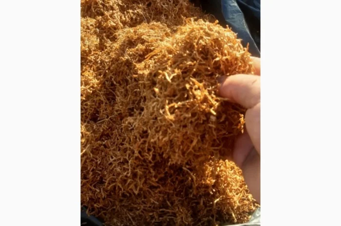 Продам тютюн для сигарет 1 кг,  400грн-1кг- фото № 2