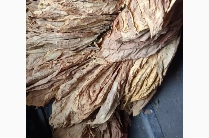 Продам лист тютюну  для самокруток- фото № 1