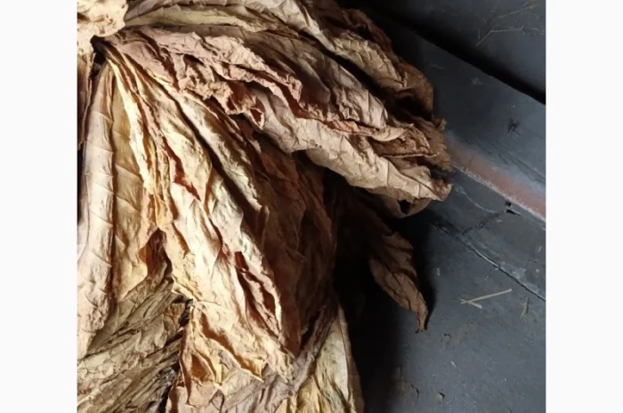 Продам лист тютюну  для самокруток- фото № 2