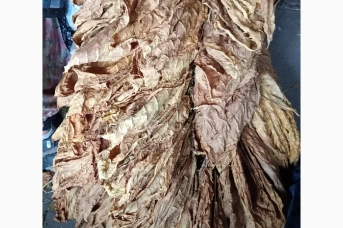 Продам лист тютюну  для самокруток- фото № 3