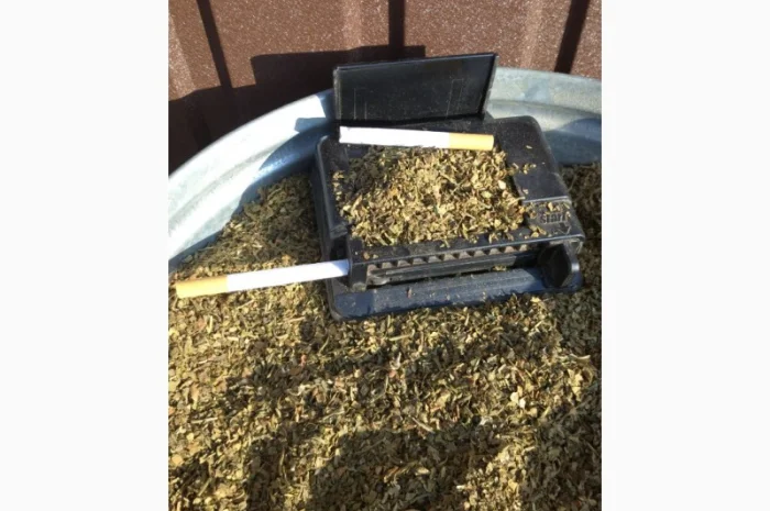 Махорка Виргун домашний самосад  для самокруток- фото № 3