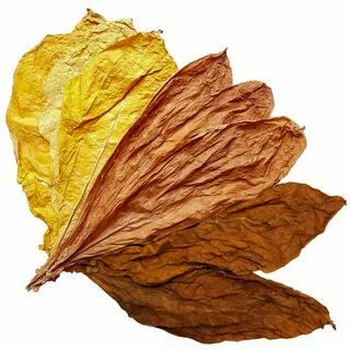 Куплю лист тютюну  для самокруток- фото № 1