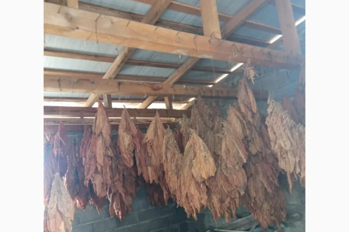 Тютюн листовий для сигарет 1 кг , ціна- фото № 1