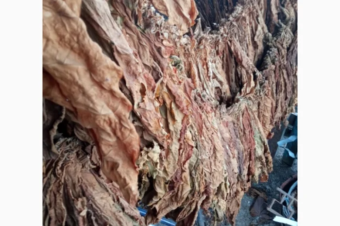 Тютюн листовий для сигарет 1 кг , ціна- фото № 2