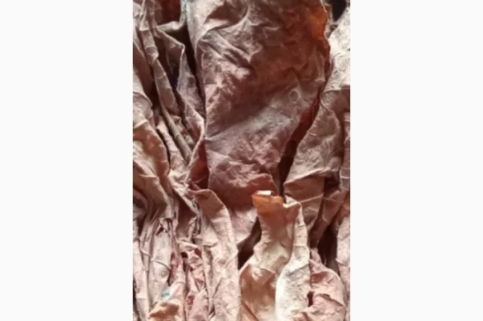 Тютюн листовий для сигарет 1 кг , ціна- фото № 4