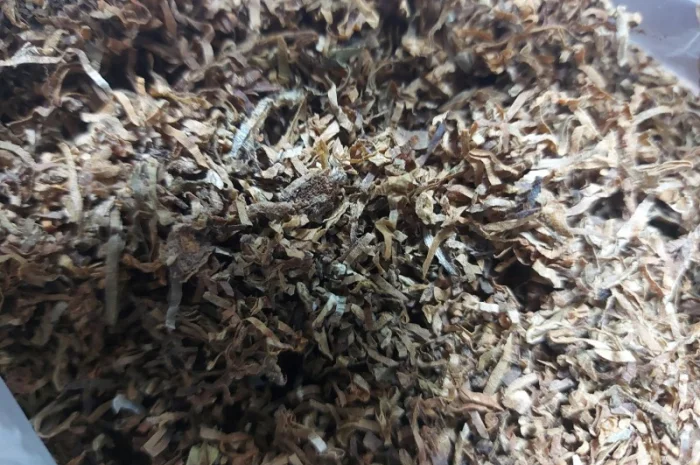 Тютюн -паутинка для сигарет 1 кг- фото № 1