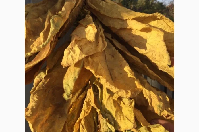 Акція на тютюн  для самокруток- фото № 4