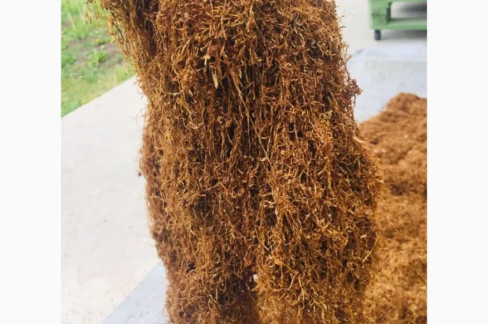 Тютюн   для самокруток найкращої якості- фото № 15