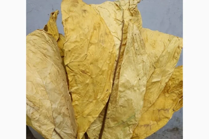 Продам табак  для самокруток- фото № 8