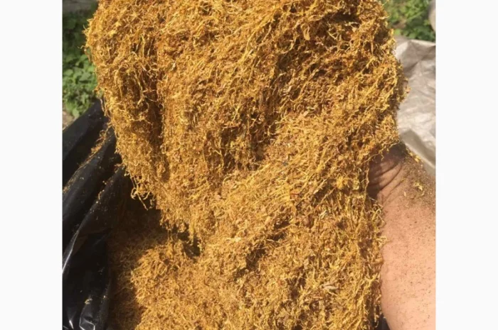 Пропоную тютюн  для сигарет 1 кг- фото № 9