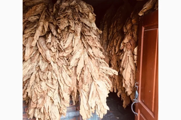 Пропоную тютюн  для сигарет 1 кг- фото № 10