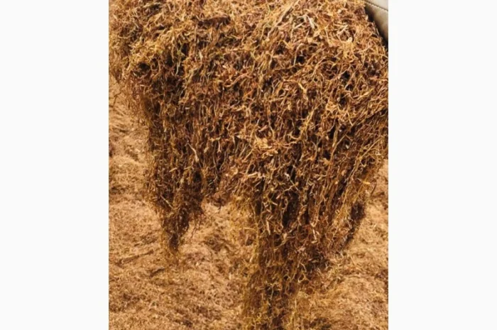 Пропоную тютюн  для сигарет 1 кг- фото № 12