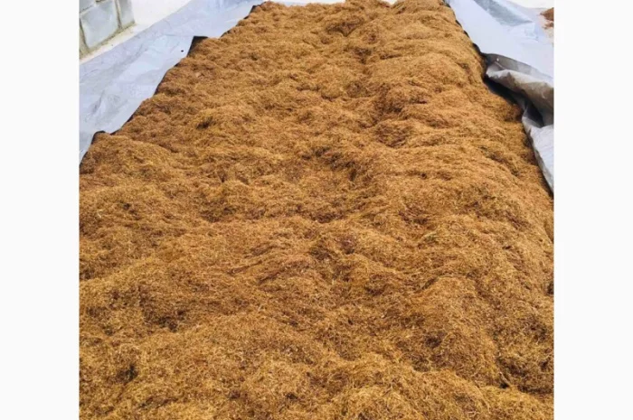 Пропоную тютюн  для сигарет 1 кг- фото № 6