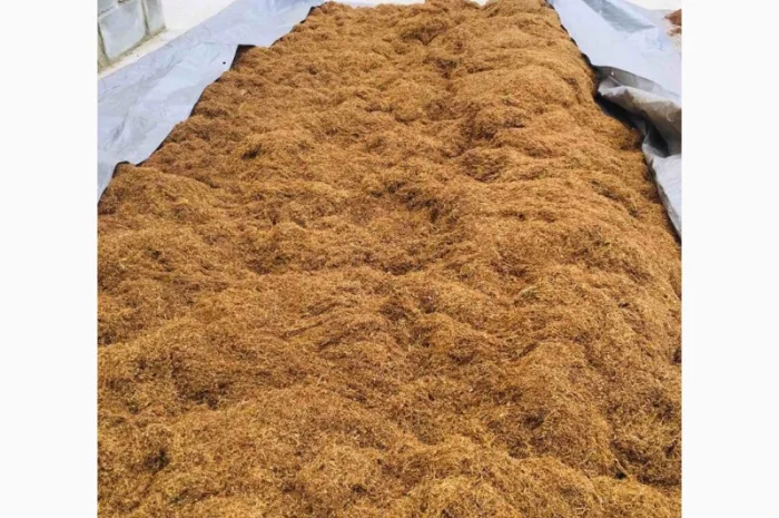 Тютюн Вірджинія  для самокруток- фото № 3