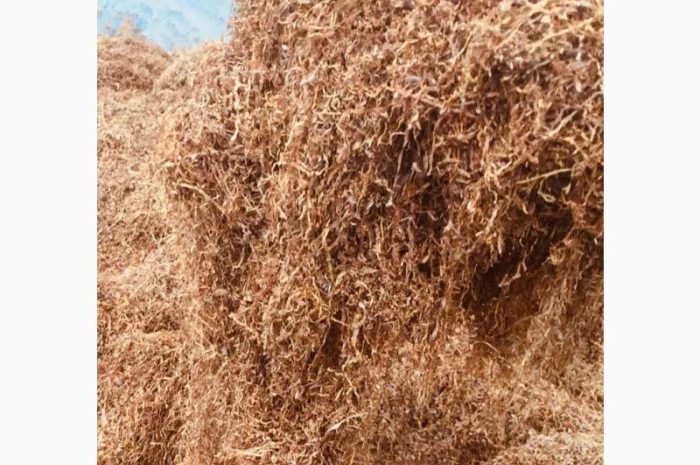 Тютюн Вірджинія  для самокруток- фото № 4