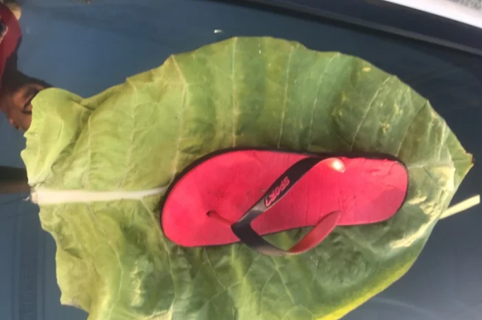 Вірджинія Голден  для самокруток- фото № 4