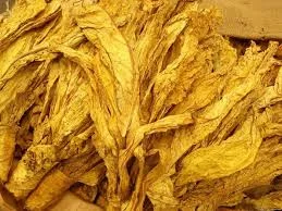 КУПЛЮ ТЮТЮН СУШЕНИЙ ЛИСТОВИЙ  для сигарет 1 кг,  только ОПТОМ! Вся Україна! Різних сортів, міцності! ДОРОГО- фото № 1