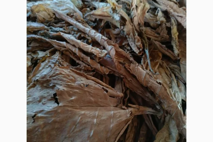 Куплю лист тютюну для самокруток- фото № 1