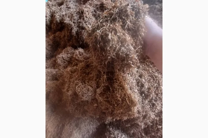 Продам різаний тютюн для сигарет 1 кг, оптом- фото № 2