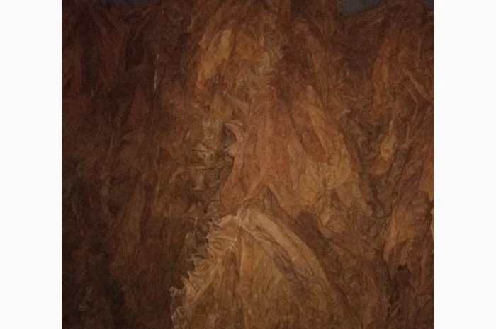 Продам лист тютюну Берлей 38 для самокруток- фото № 1