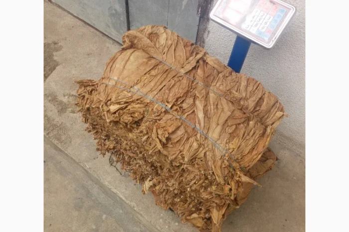 Продам лист тютюну Берлей 38 для самокруток- фото № 4