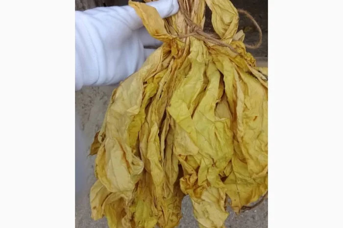 Продам Табак по лучшей цене для сигарет 1 кг ! Растаможен! Включая акцизы и сборы- фото № 1